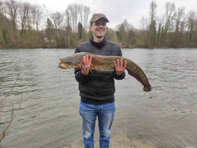 Angler with 3.3 ft catfish