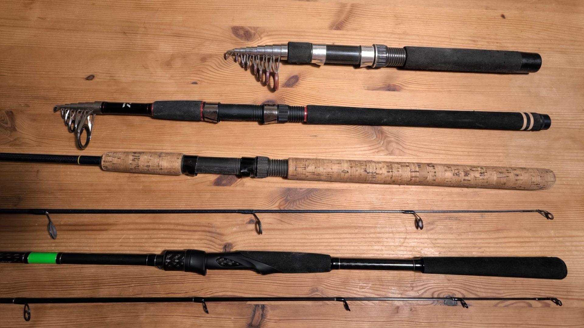 bear scout fishing pole A Bear Goes Fishing