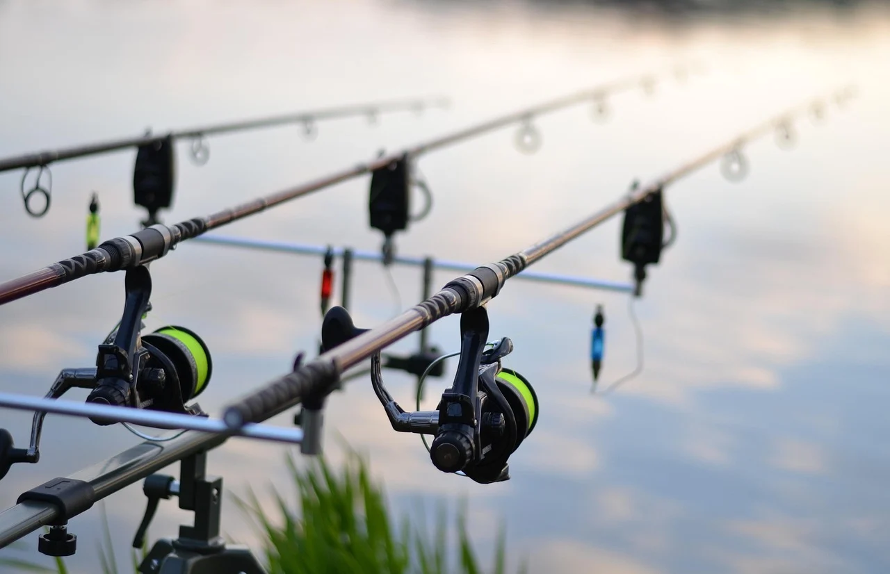 Three rods are set up on a rod pod with three bite alarms.